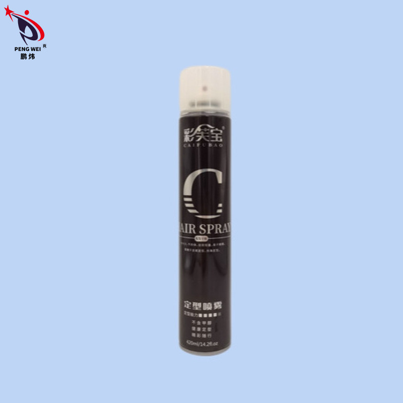 สเปรย์ฉีดผม Strong Hold Flexible Hold 80g สเปรย์ฉีดผมแห้งเร็วไร้กลิ่นสำหรับจัดแต่งทรงผม