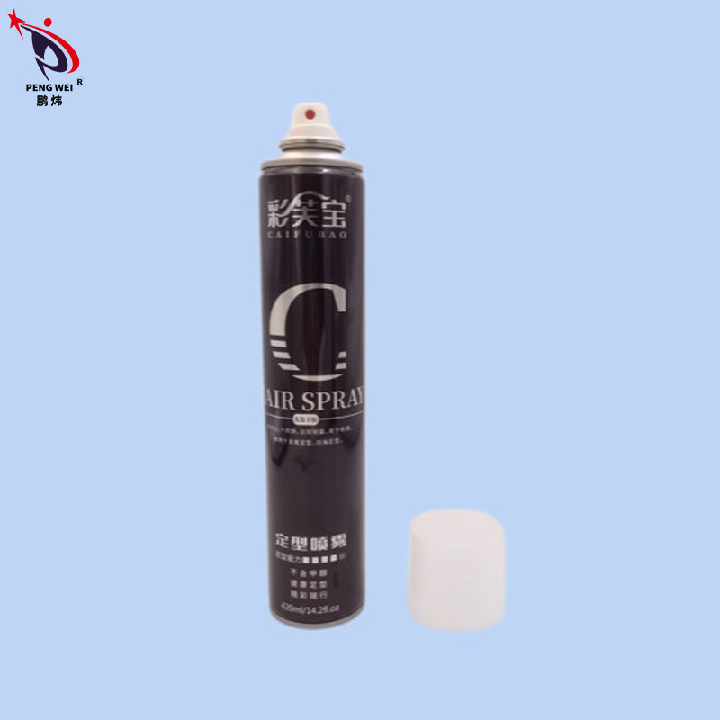 สเปรย์ฉีดผม Strong Hold Flexible Hold 80g สเปรย์ฉีดผมแห้งเร็วไร้กลิ่นสำหรับจัดแต่งทรงผม