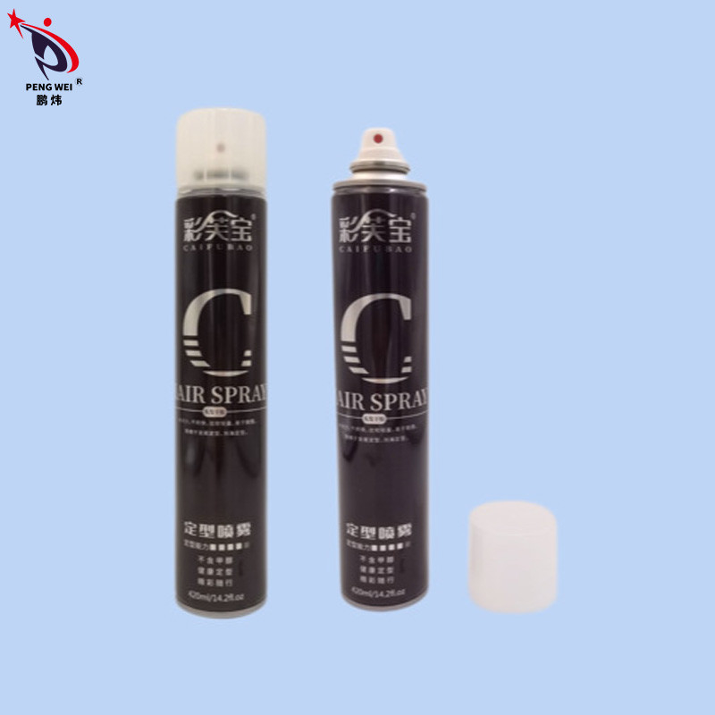สเปรย์ฉีดผม Strong Hold Flexible Hold 80g สเปรย์ฉีดผมแห้งเร็วไร้กลิ่นสำหรับจัดแต่งทรงผม