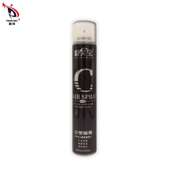 สเปรย์ฉีดผม Strong Hold Flexible Hold 80g สเปรย์ฉีดผมแห้งเร็วไร้กลิ่นสำหรับจัดแต่งทรงผม