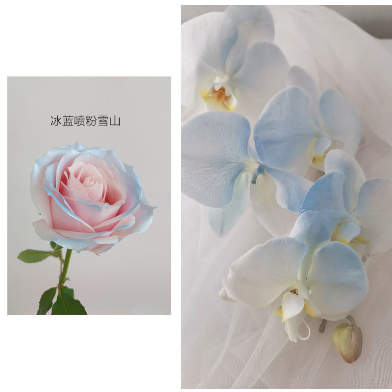 MSDS 350ml Flower Pearl Color Spray, สเปรย์เคลือบดีบุกสำหรับดอกไม้