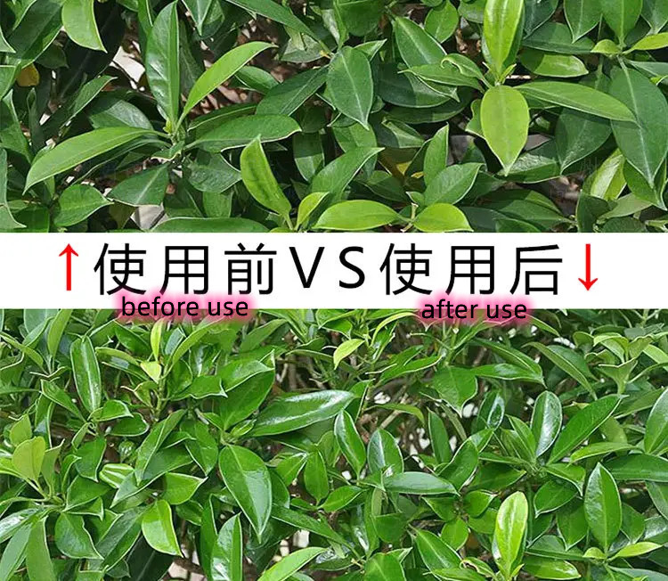 Multiscene Tinplate Leaf Shine Spray ขวดสีเขียวเป็นมิตรกับสิ่งแวดล้อม